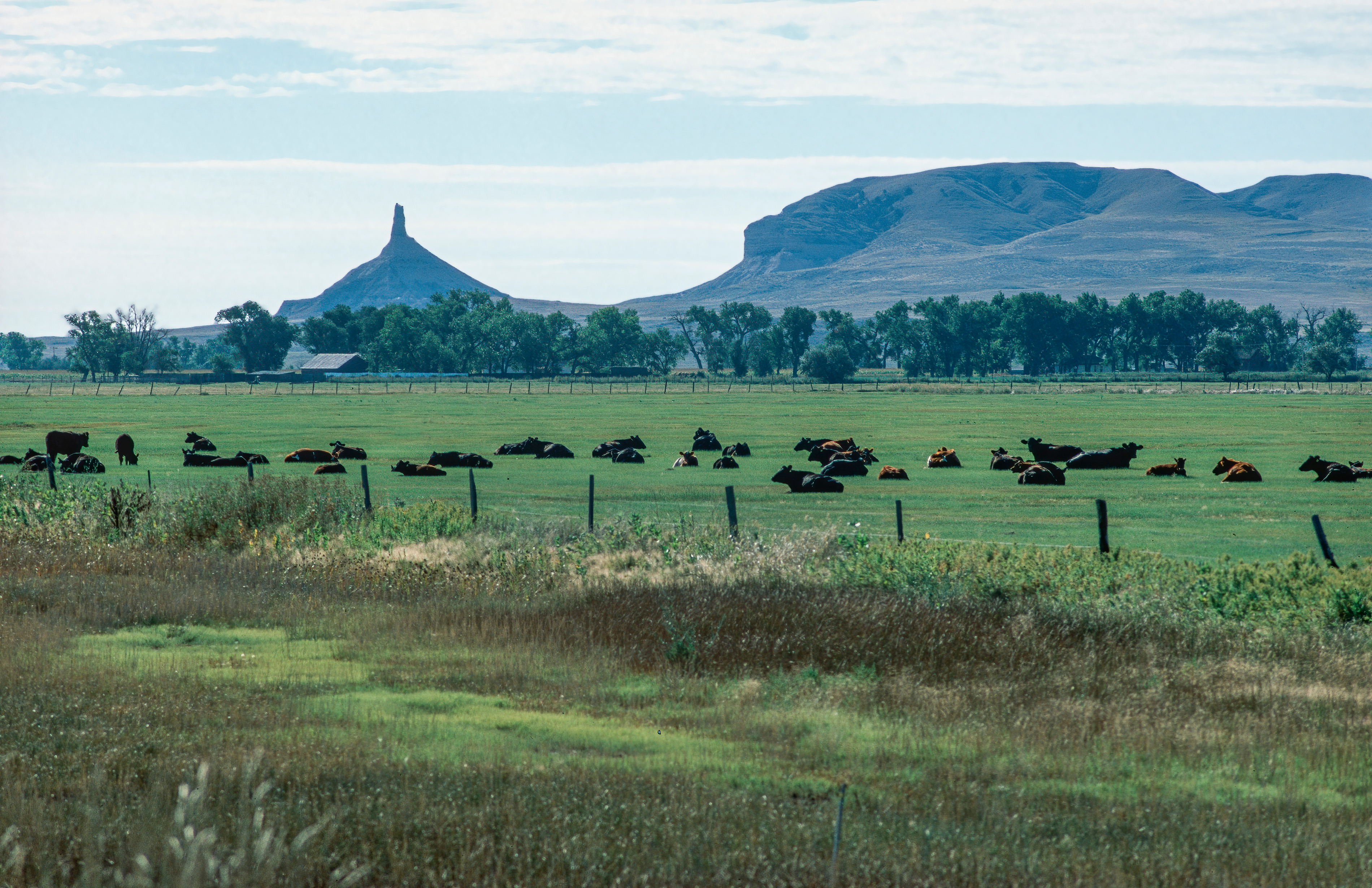Rotational Grazing and Stewardship of Nebraska Grasslands