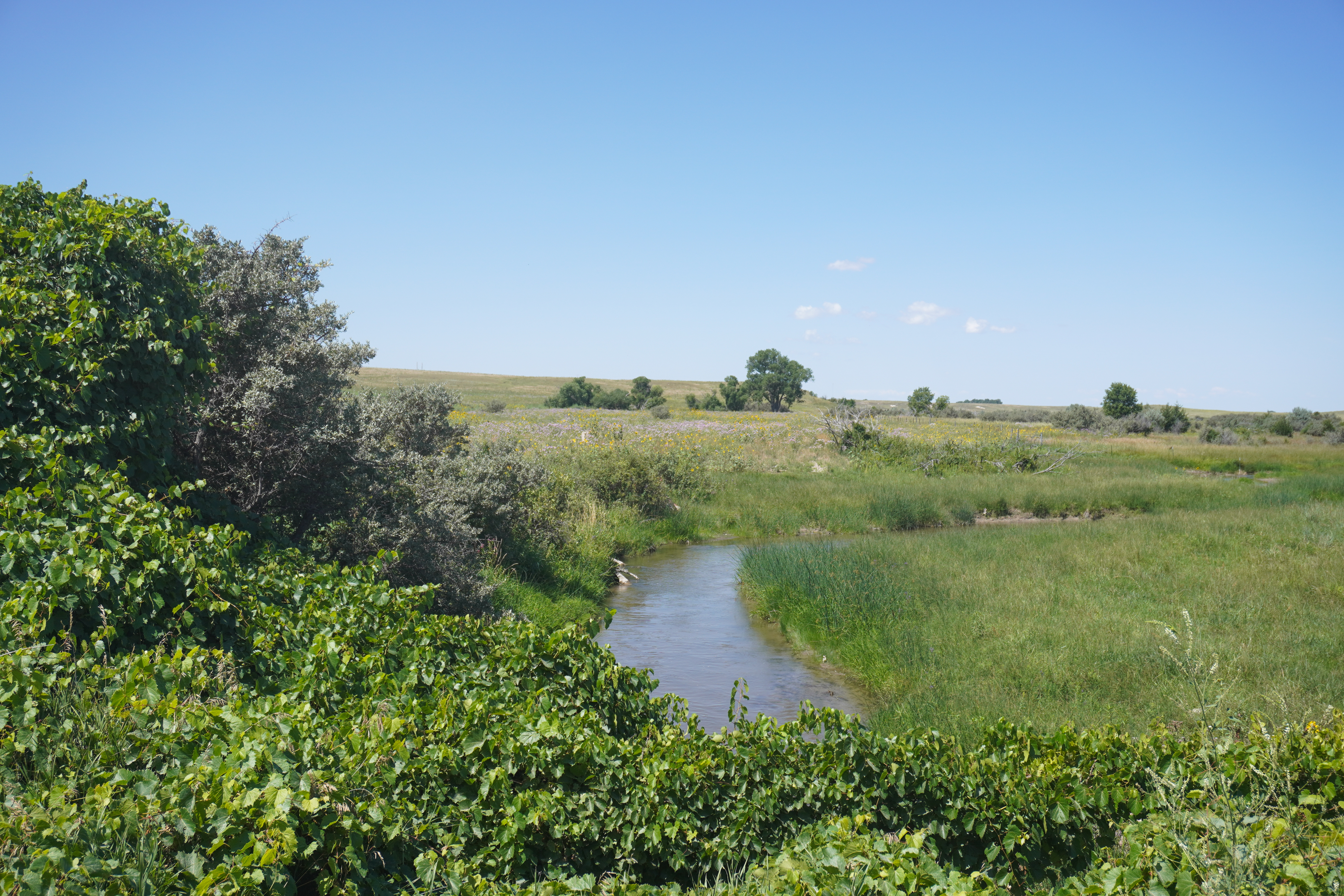 What’s Affecting Land Values in Nebraska in 2025?