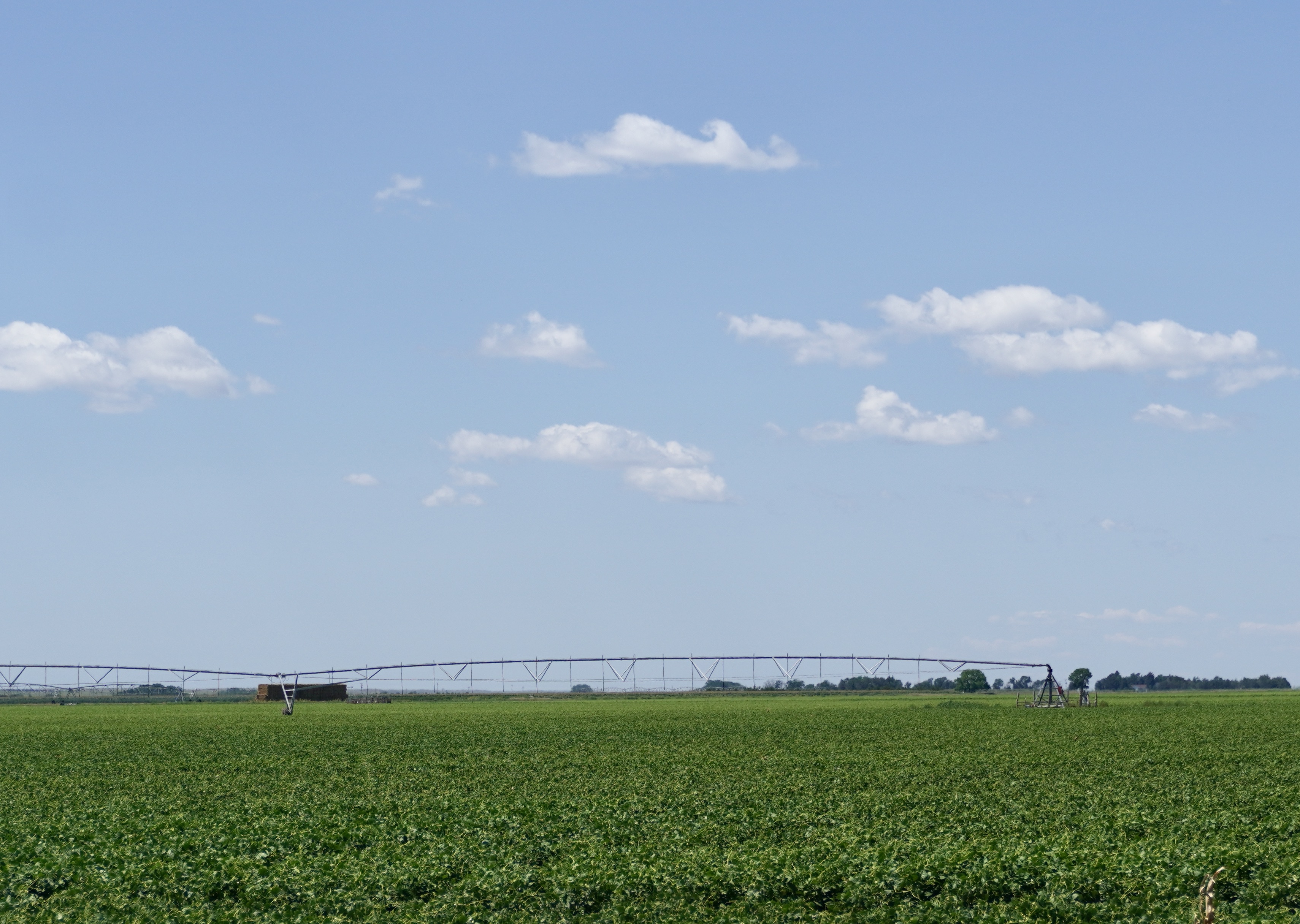 How Much Corn Is Out There?